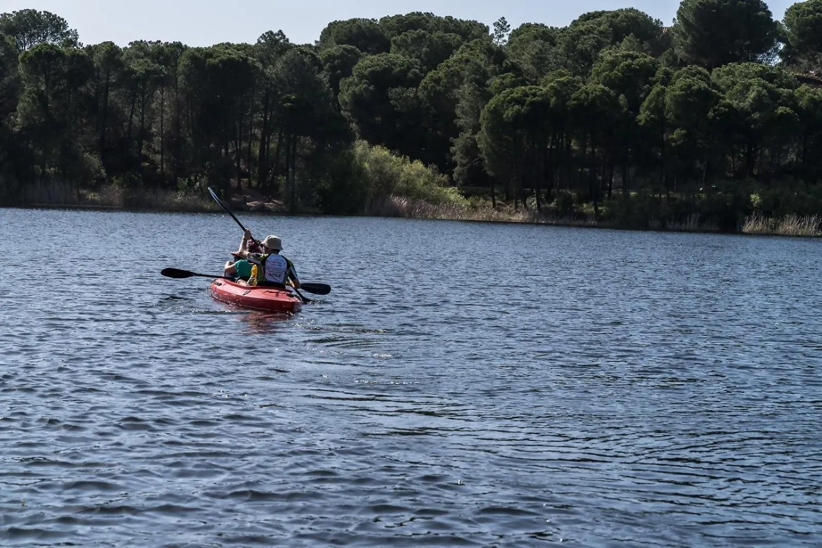 Casa El Lago Alojamiento Rural Las Jaras